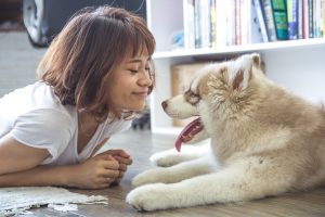 vet and dog