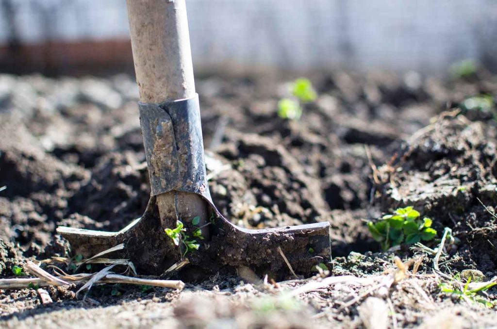 Digging in soil