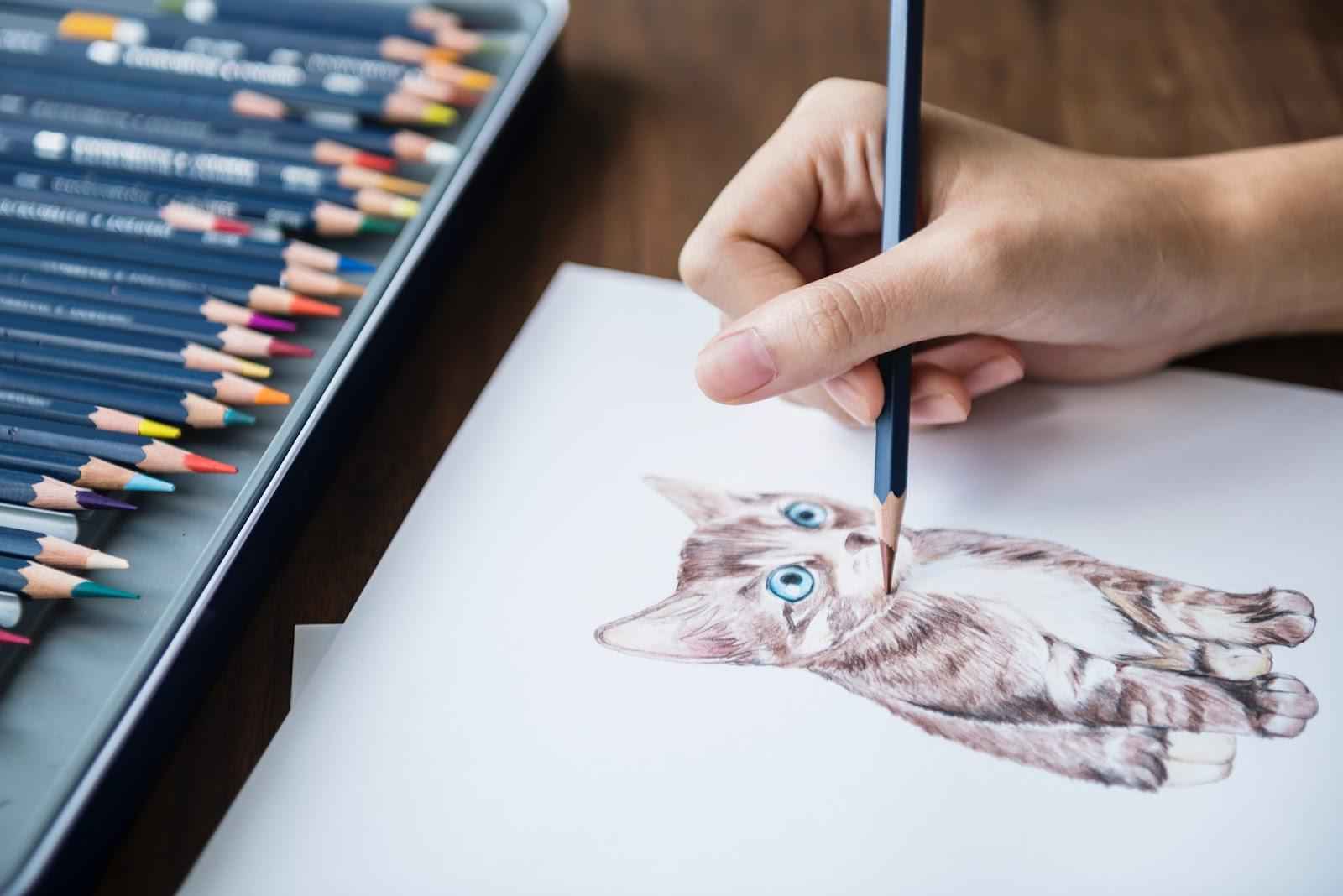 artist drawing cat