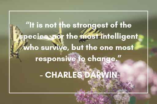 Quote by Charles Darwin, "It is not the strongest of the species, not the most intelligent who survive, but the one most responsive to change."