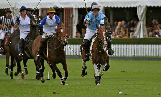 Athlete-Sports-person-polo-player_workenvironment_web_11zon