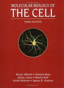 the cell