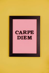 Seize The Day