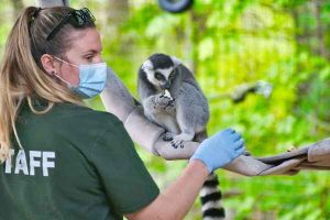 Wildlife Rehabilitation Specialist